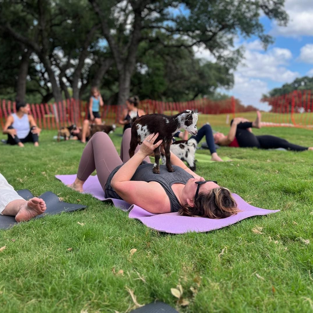 Goat Yoga - logo
